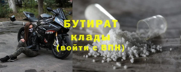прущие грибы Богородицк