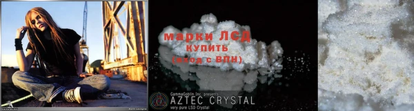 прущие грибы Богородицк