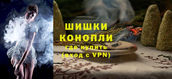 прущие грибы Богородицк