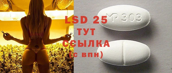 прущие грибы Богородицк