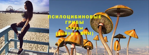 тгк Богданович