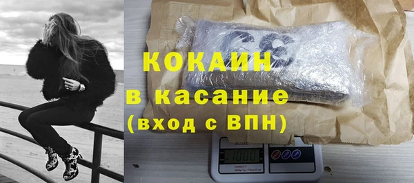 прущие грибы Богородицк