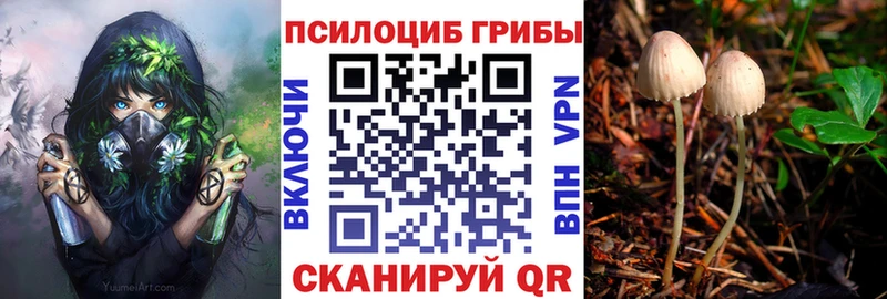 Галлюциногенные грибы Psilocybe  Вельск 